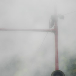 Lamp in the fog